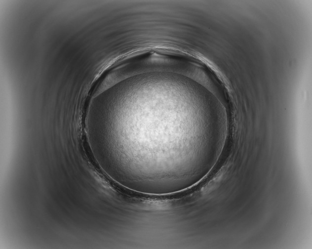 X0000087550977200704271205