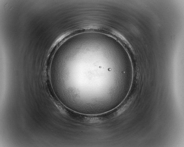 X0000087550978200704271205