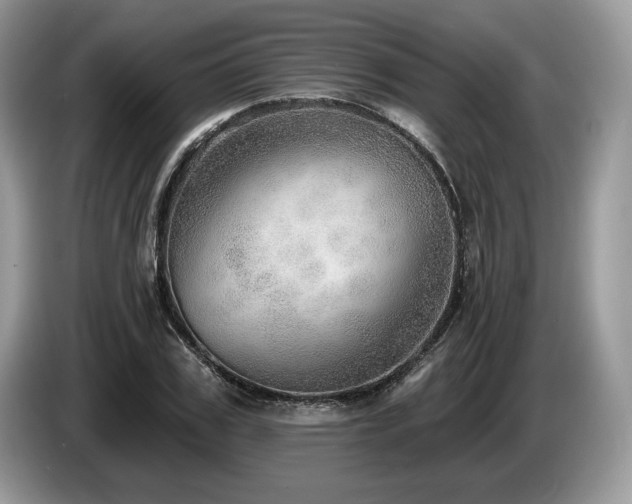 X0000087550979200704271205