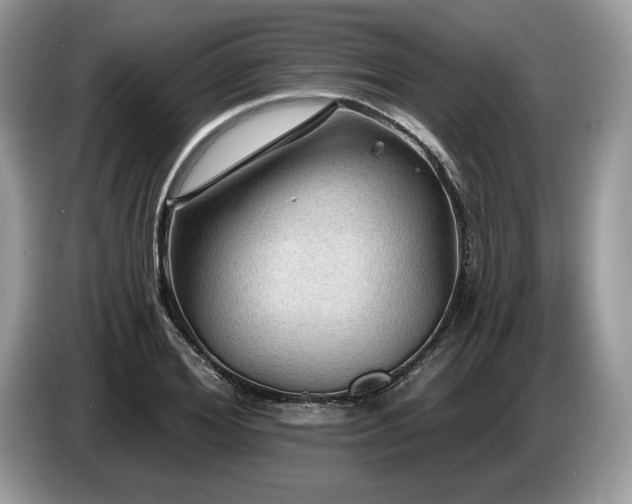 X0000087550980200704271205