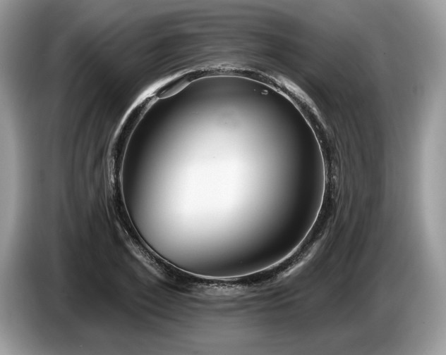 X0000087550981200704271205