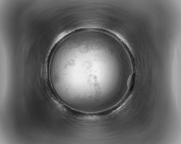 X0000087550982200704271205