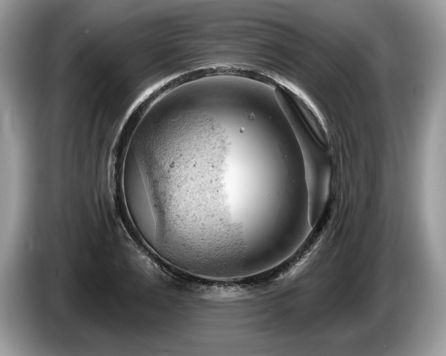 X0000087550983200704271205