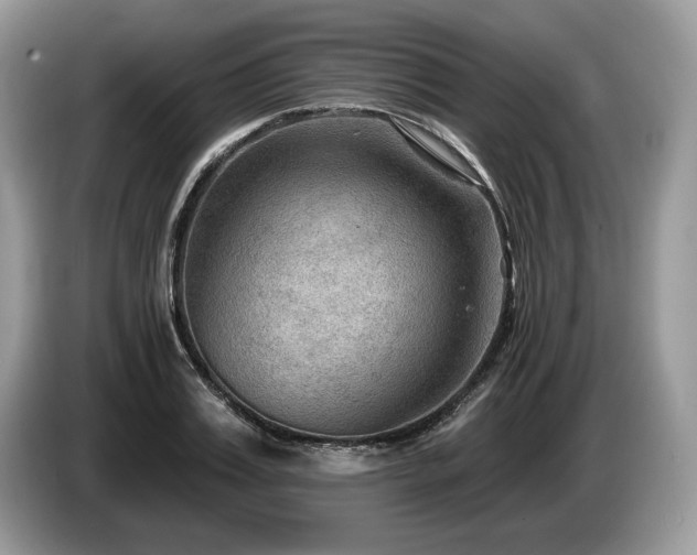 X0000087550987200704271205