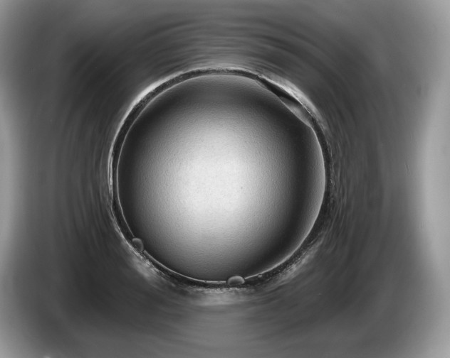 X0000087550988200704271205