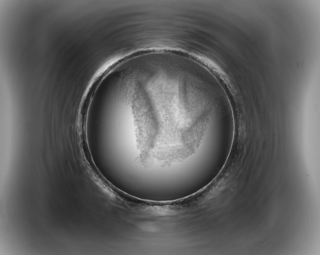 X0000087550990200704271205