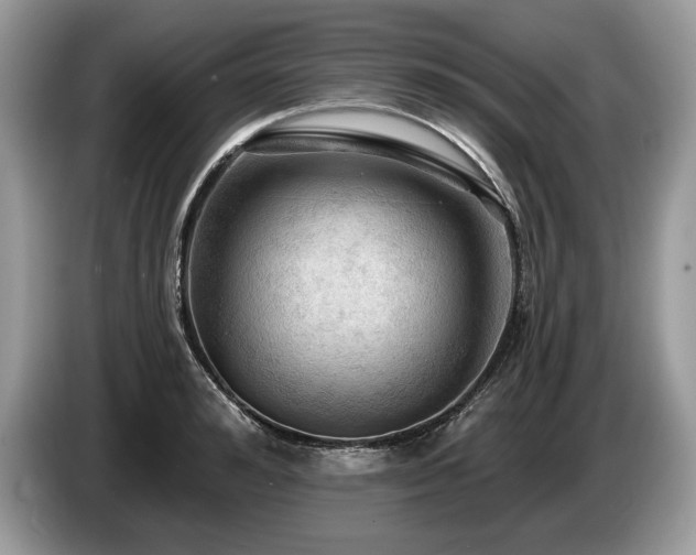 X0000087550992200704271205