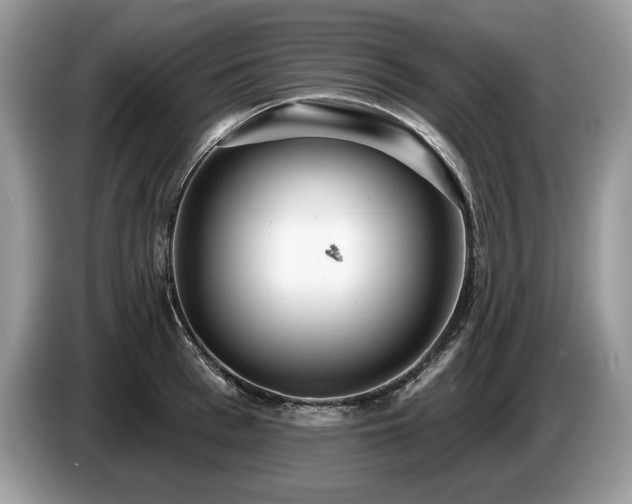 X0000087550993200704271205