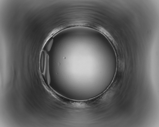 X0000087550994200704271205