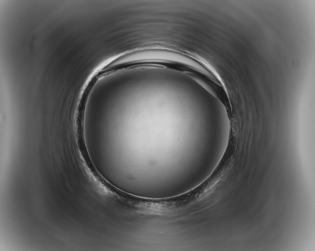 X0000087550995200704271205
