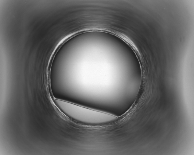 X0000087550996200704271205