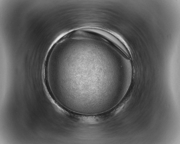 X0000087550999200704271205