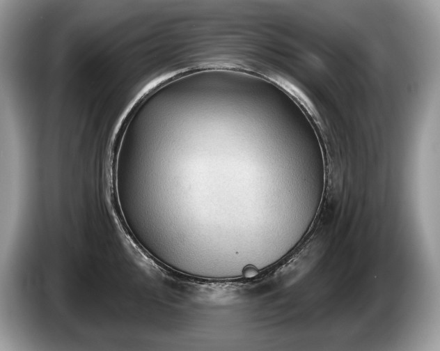 X0000087551000200704271205