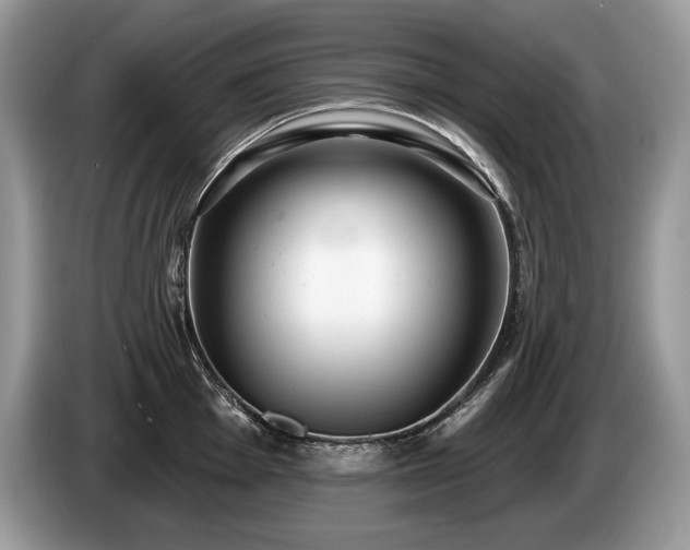 X0000087551001200704271205