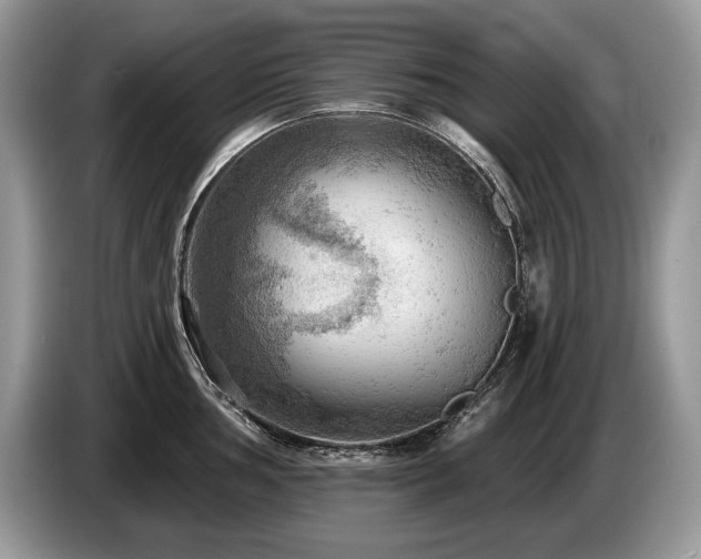 X0000087551002200704271205