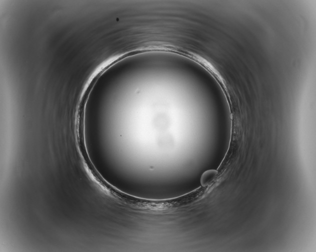 X0000087551003200704271205