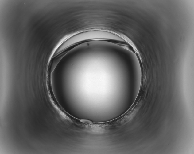 X0000087551005200704271205