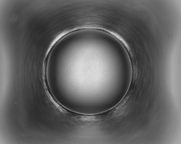 X0000087551006200704271205