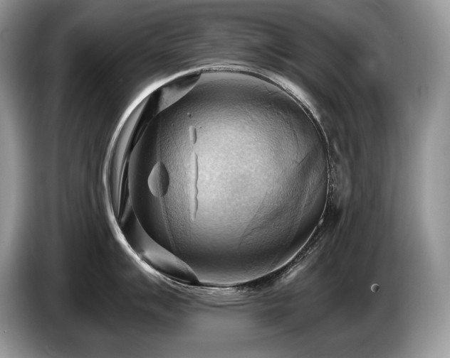 X0000087551007200704271205