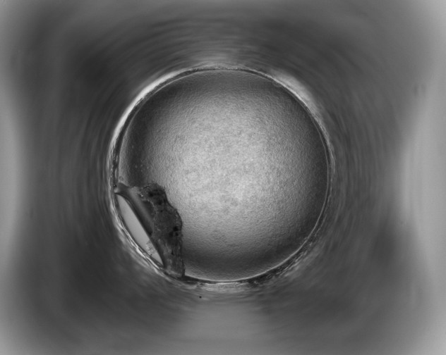 X0000087551008200704271205