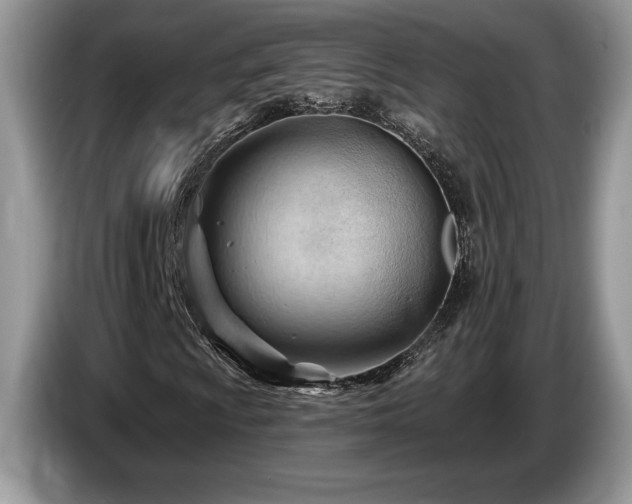 X0000087551009200704271204