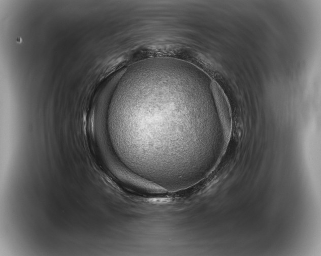 X0000087551010200704271204