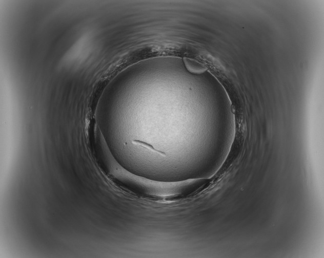 X0000087551012200704271204