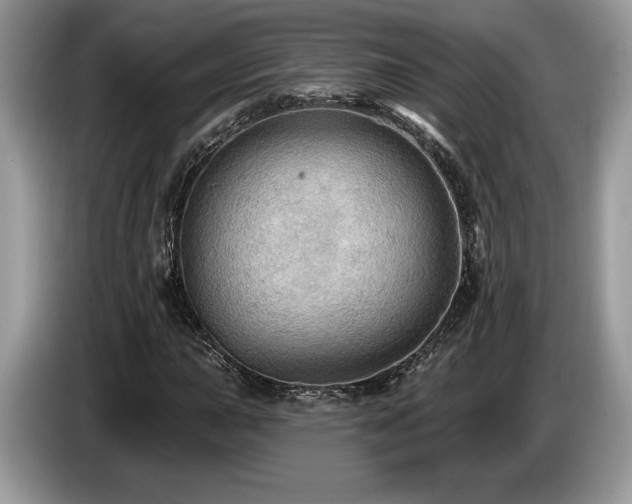X0000087551015200704271204