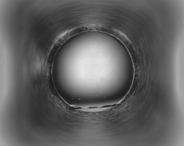 X0000087551016200704271204