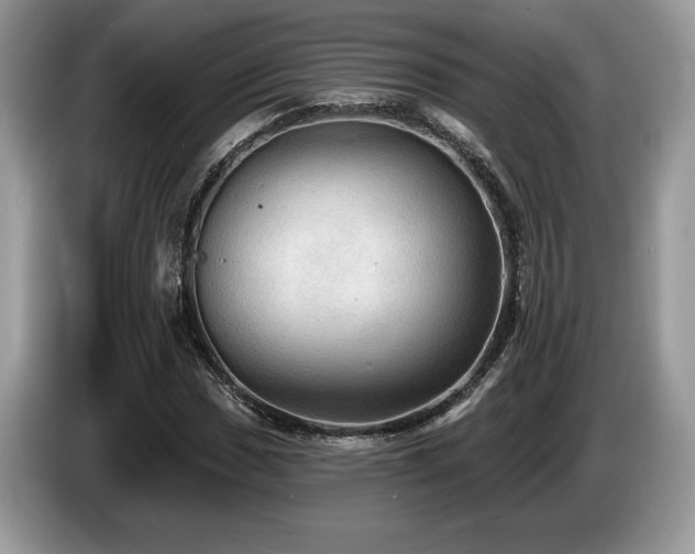 X0000087551017200704271204
