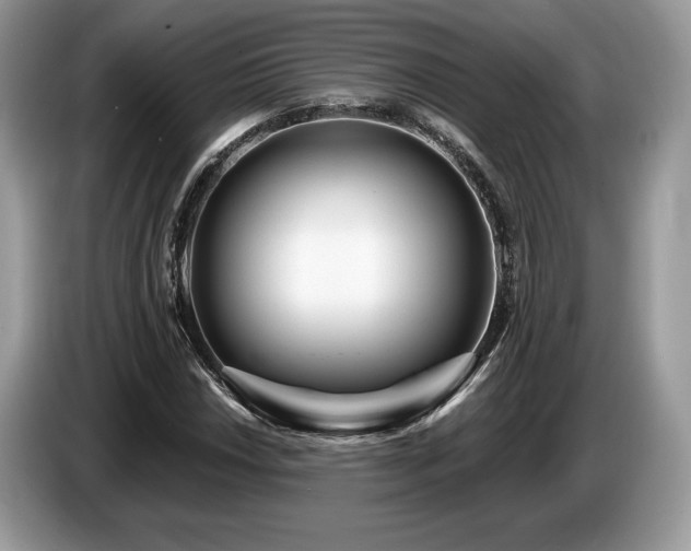 X0000087551018200704271204