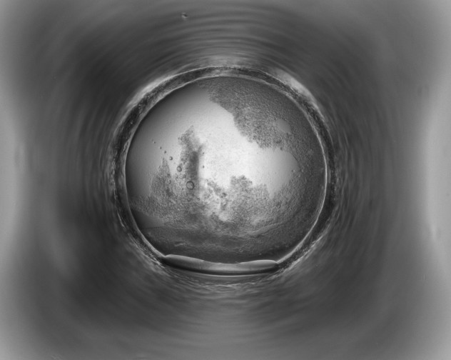 X0000087551019200704271204