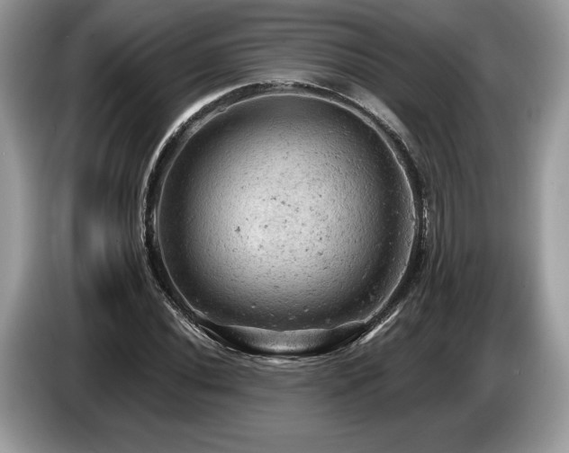 X0000087551020200704271204