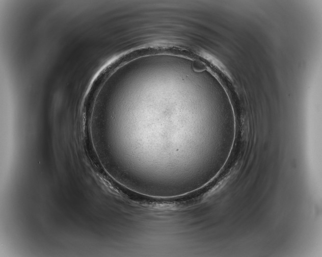 X0000087551021200704271204