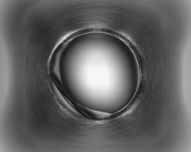 X0000087551022200704271204