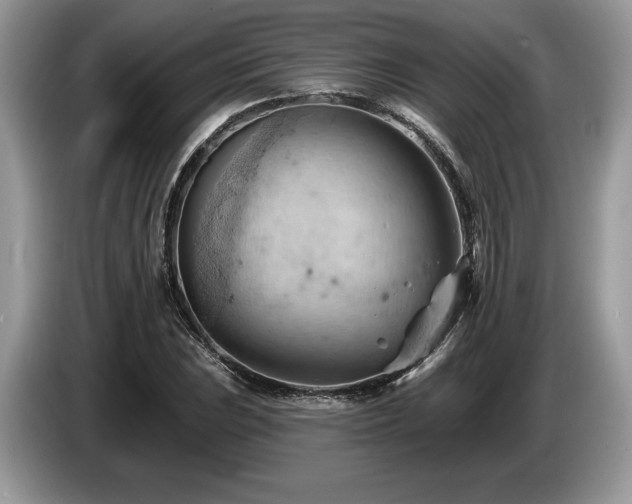 X0000087551023200704271204