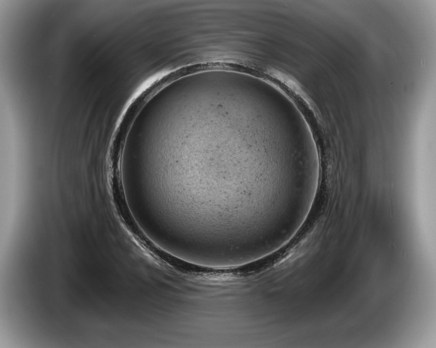X0000087551024200704271204