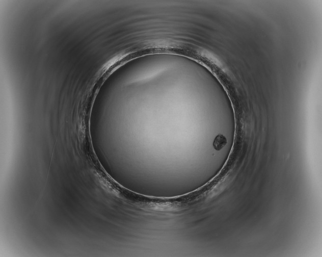 X0000087551025200704271204