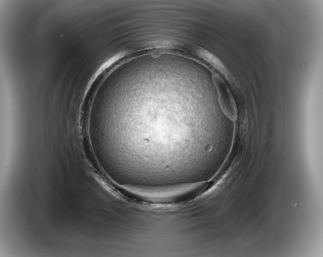 X0000087551026200704271204
