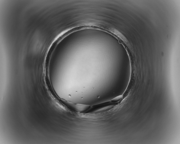 X0000087551028200704271204