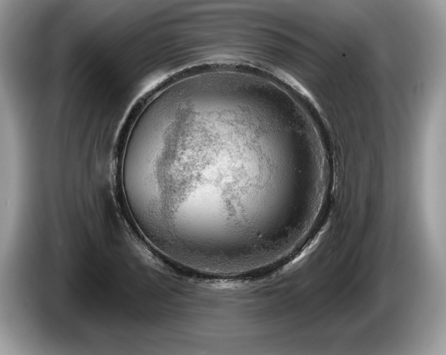 X0000087551029200704271204