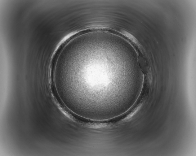 X0000087551030200704271205
