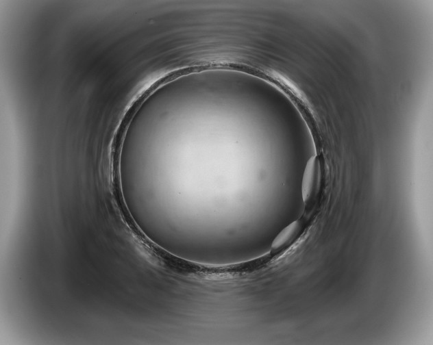 X0000087551031200704271205
