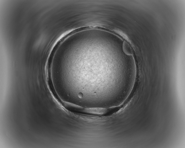 X0000087551032200704271205