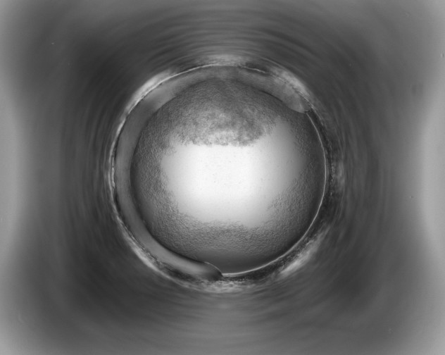 X0000087551034200704271205