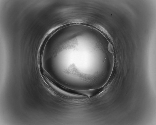 X0000087551035200704271205