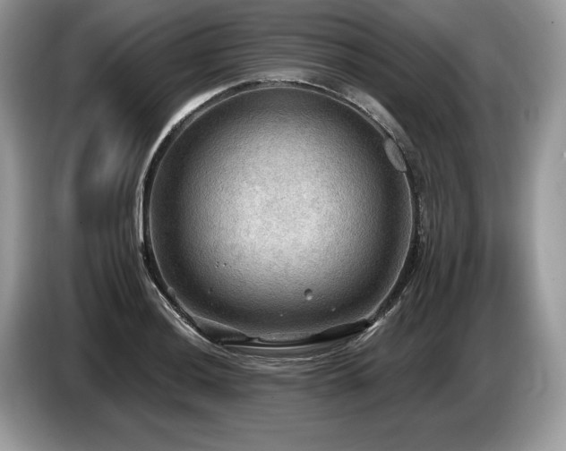 X0000087551036200704271205
