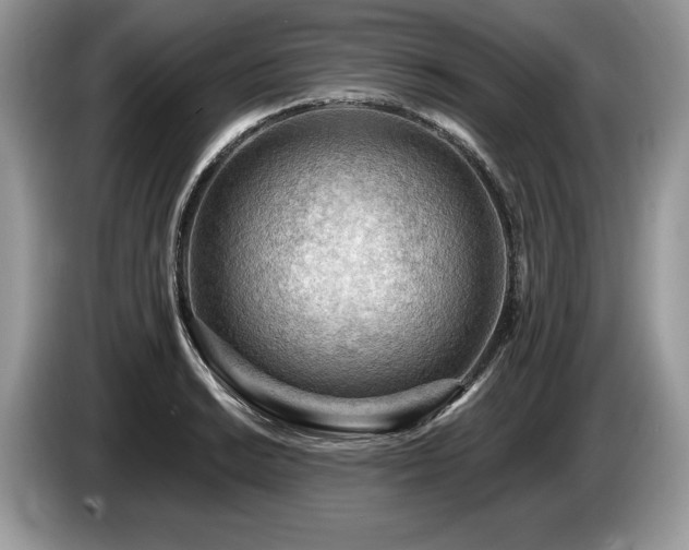 X0000087551038200704271205