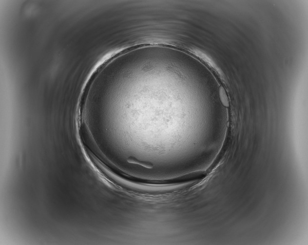 X0000087551040200704271205