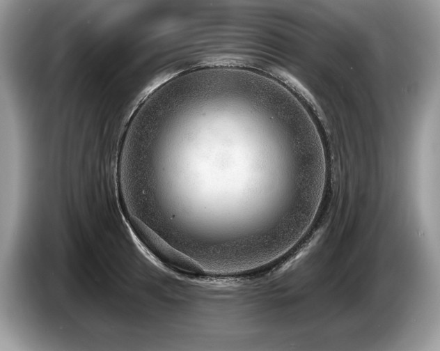 X0000087551041200704271205